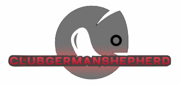 Prediksi Toto Online Osaka 26 November 2025